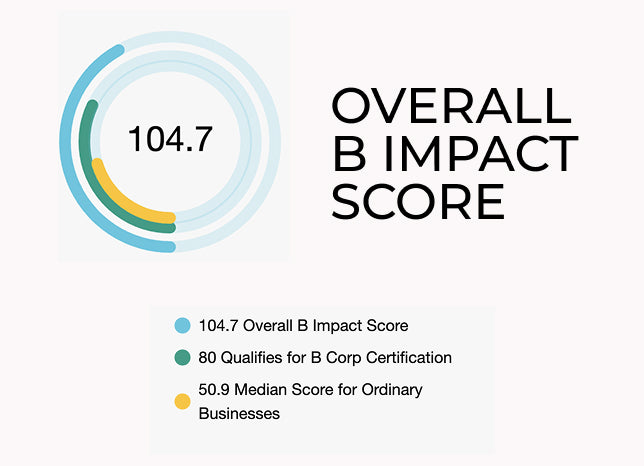 Overall B Impact Score : 104,7