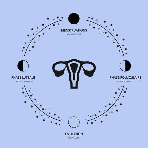 représentation du cycle lunaire autour d'un utérus