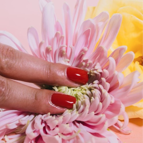 deux doigts carressant le pollen d'une fleur