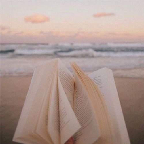 un livre ouvert face à la mer