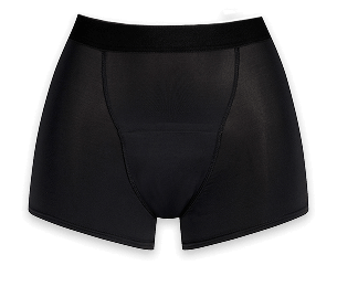 Boxer Érato