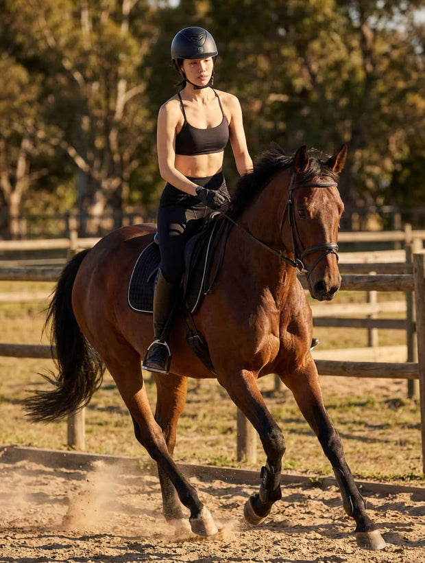 Équitation