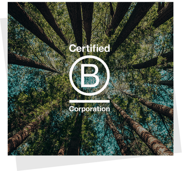 Forêt — certification B Corp